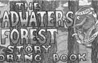 The Headwaters Forest Coloring Book